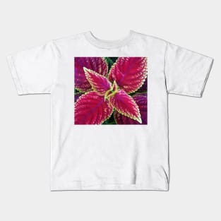 Coleus Leaves Kids T-Shirt